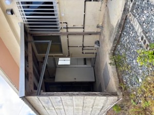 IMG_0145